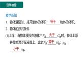 10.3.1物体的浮沉条件课件-（2024版）人教版物理八年级下学期