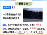 7.3 重力（课件）---2024-2025学年北师大版（2024）物理八年级下册