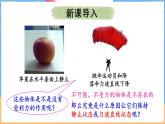 7.5  二力平衡（课件）---2024-2025学年北师大版（2024）物理八年级下册