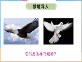8.5 流体压强与流速的关系（课件）---2024-2025学年北师大版（2024）物理八年级下册