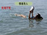 8.6 浮力（课件）---2024-2025学年北师大版（2024）物理八年级下册