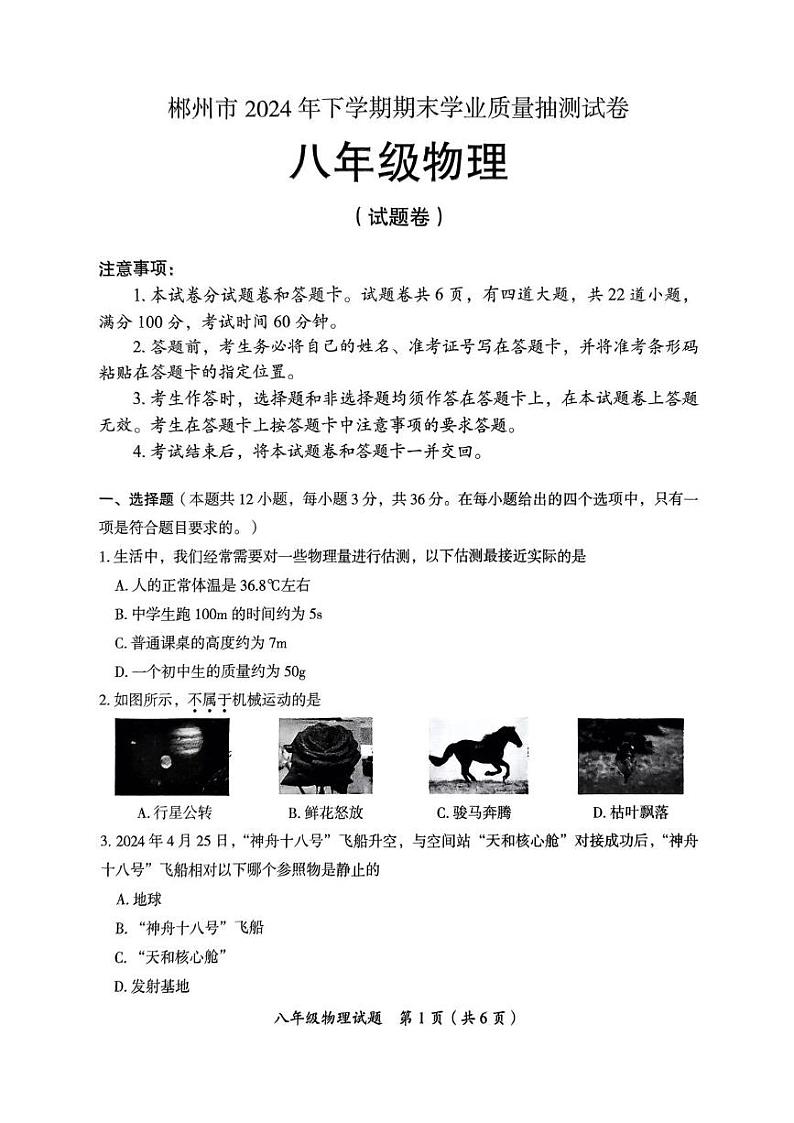 湖南省郴州市2024-2025学年八年级上学期期末考试物理试题第1页