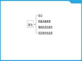 第九章  浮力（课件）-2025年中考物理一轮复习课件