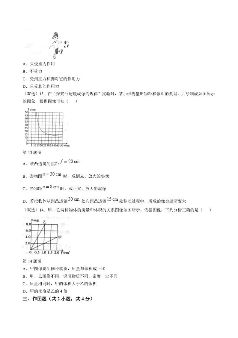 2024～2025学年河南省安阳市滑县师达学校八年级上1月期末物理试卷(含答案)第3页