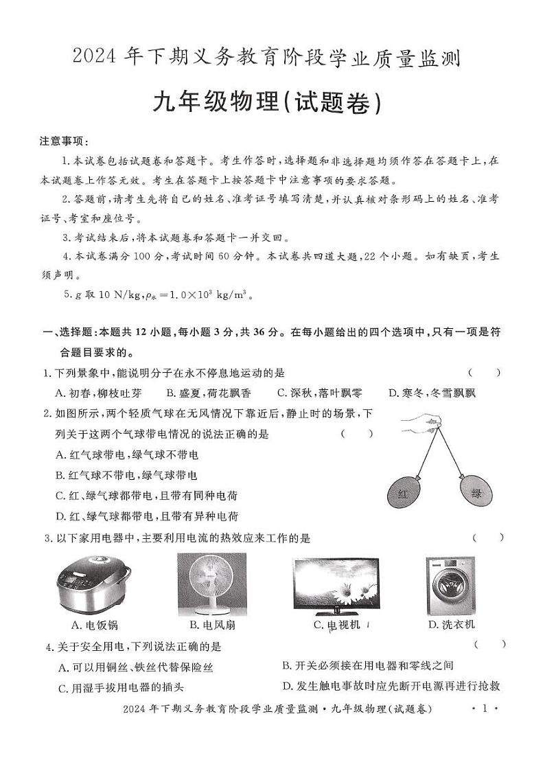 湖南省永州市宁远县2024-2025学年九年级上学期1月期末物理试题第1页