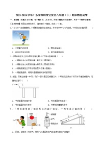 2023-2024学年广东省深圳市宝安区八年级（下）期末物理试卷