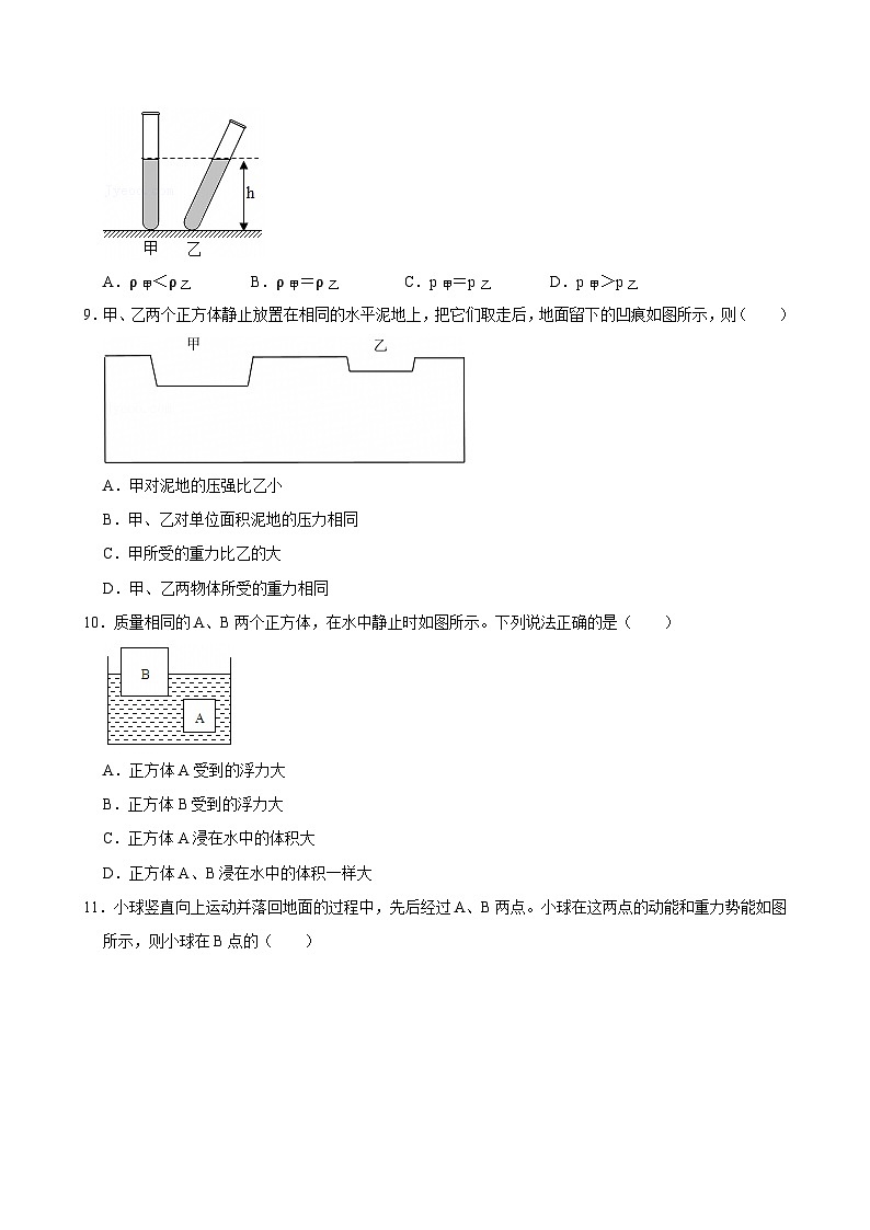 2023-2024学年广东省广州市白云区八年级（下）期末物理试卷第3页