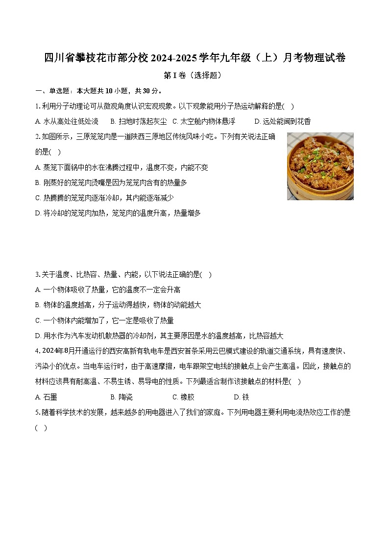 四川省攀枝花市部分校2024-2025学年九年级（上）月考物理试卷第1页