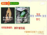 沪科版 初中物理 八年级全册 课件7.2 力的合成