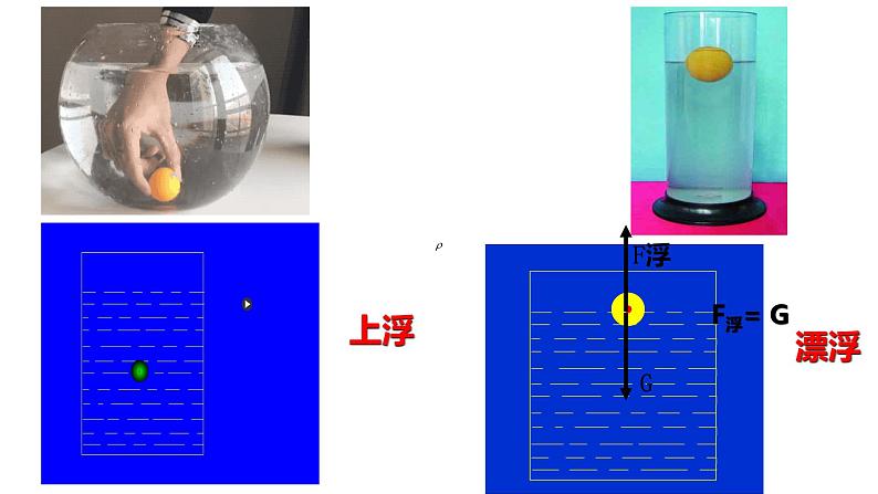 沪科版初中物理 八年级全册 课件9.3物体的浮与沉  1课时第4页