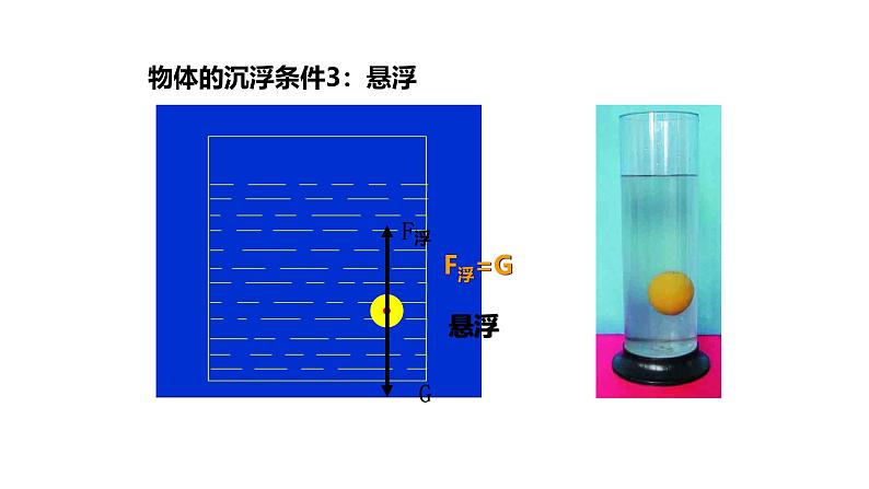 沪科版初中物理 八年级全册 课件9.3物体的浮与沉  1课时第6页