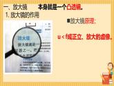 5.3 生活中的透镜 -2024-2025学年八年级物理上册同步课件（北师大版2024）