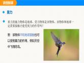 人教版（2024）八年級物理下冊課件 第七章 第三節(jié) 重力