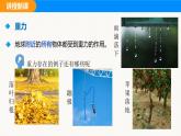 人教版（2024）八年級物理下冊課件 第七章 第三節(jié) 重力