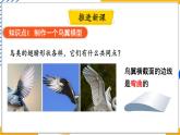 10.1 在流体中运动（课件）-2024-2025学年教科版（2024）八年级物理下册