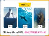 10.4 沉与浮（课件）-2024-2025学年教科版（2024）八年级物理下册
