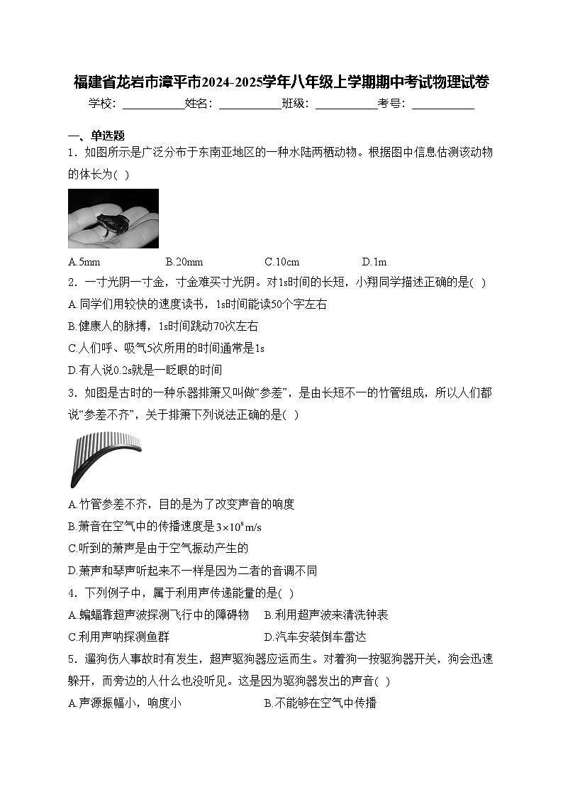 福建省龙岩市漳平市2024-2025学年八年级上学期期中考试物理试卷(含答案)第1页