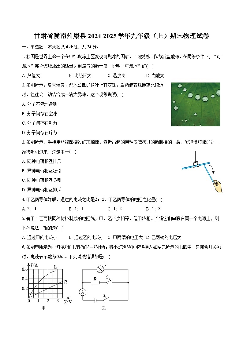 甘肃省陇南州康县2024-2025学年九年级（上）期末物理试卷第1页