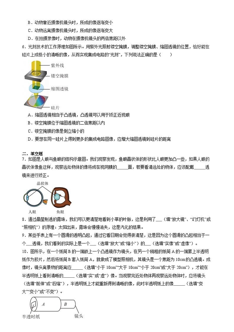 2025年中考物理寒假专题训练：透镜及其应用第2页