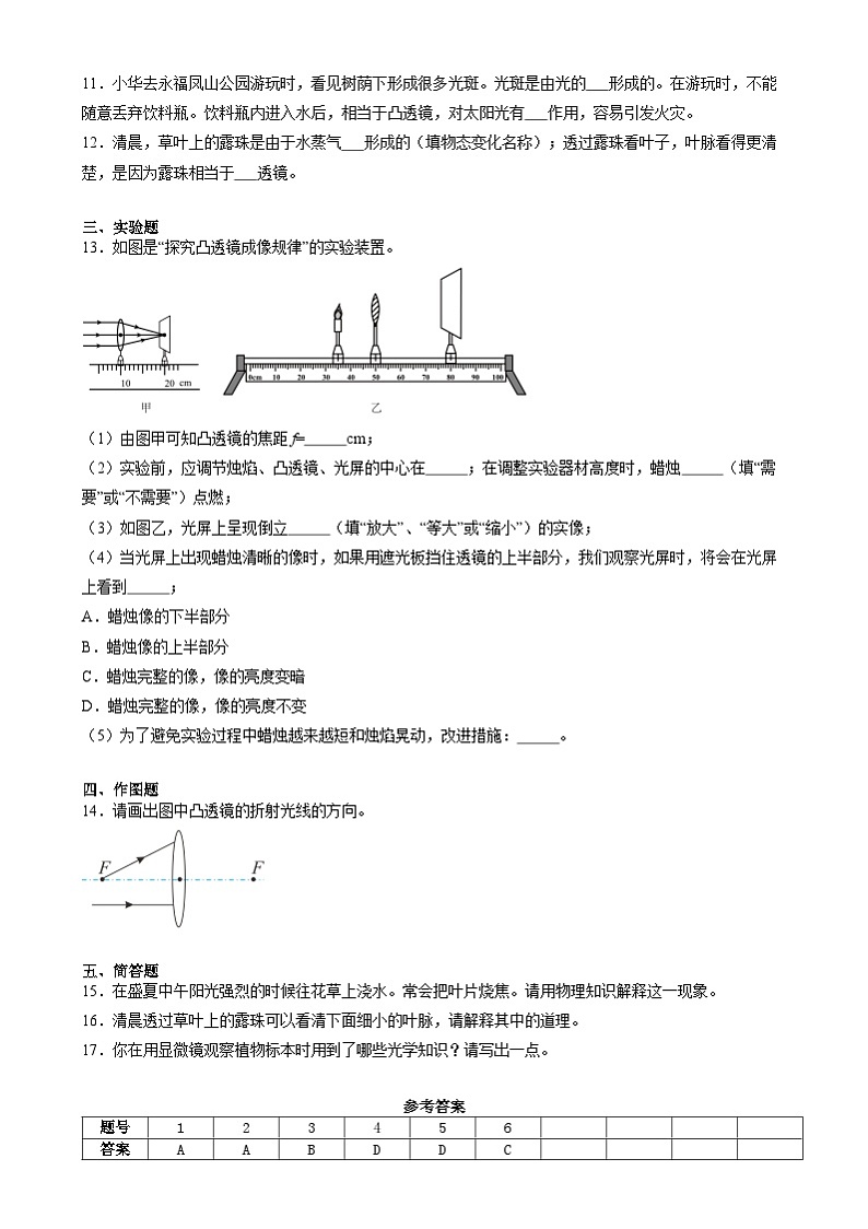 2025年中考物理寒假专题训练：透镜及其应用第3页