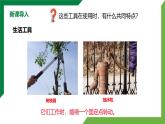 12.1《杠杆》第1课时 精品课件+教学设计+同步练习题（含参考答案）