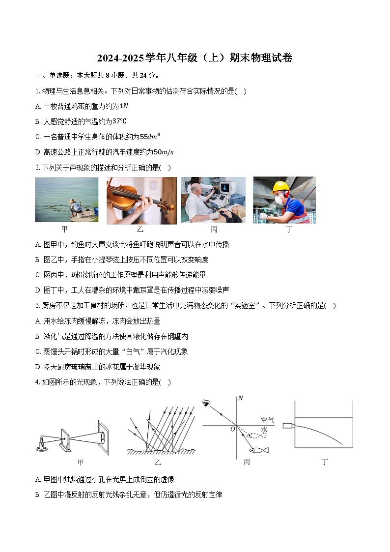 山东省潍坊市诸城市2024-2025学年八年级（上）期末物理试卷第1页