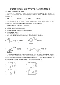 青海省西宁市2024-2025学年九年级（上）期末物理试卷