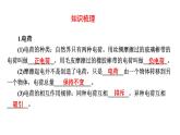 最新中考物理二轮复习专题突破（课件） 电流和电压