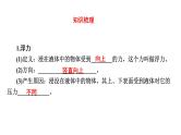 最新中考物理二轮复习专题突破（课件） 浮力