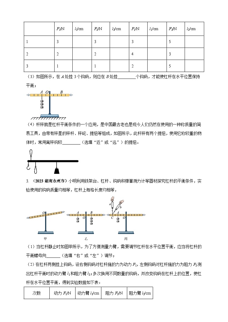 专题28 探究杠杆平衡条件的实验问题 （原卷版） 第2页