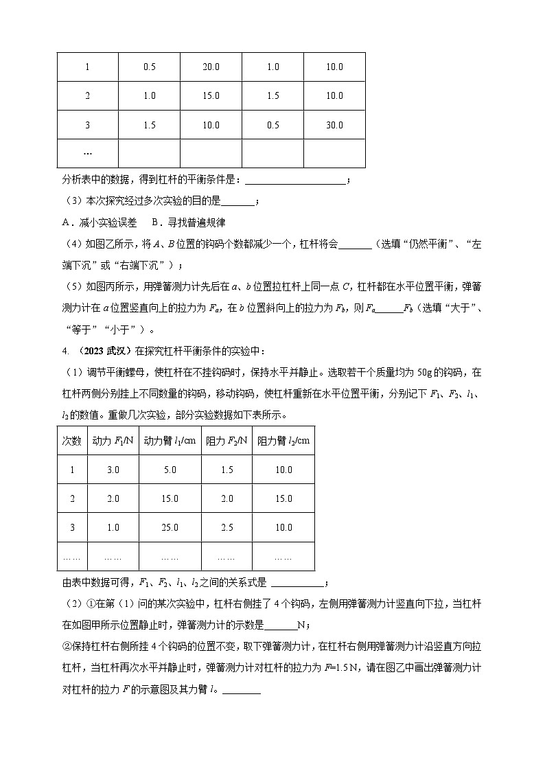 专题28 探究杠杆平衡条件的实验问题 （原卷版） 第3页