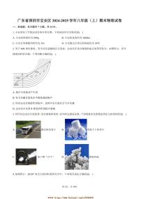 2024～2025学年广东省深圳市宝安区八年级(上)期末物理试卷(含答案)