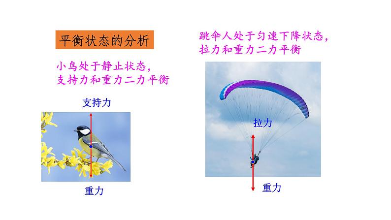 7.3 二力平衡 （课件）- 2024-2025学年沪科版（2024）物理八年级全一册第5页