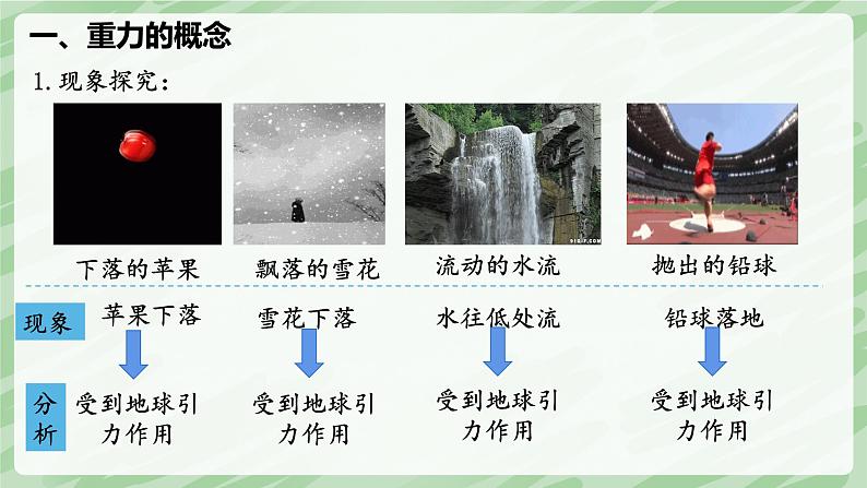 7.3 重力—初中物理八年级下册 同步教学课件（人教版2024）第4页