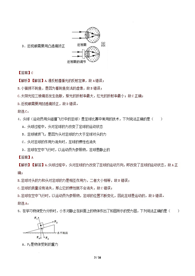 2024-2025学年八年级物理下学期开学摸底考试卷（辽宁专用）（全解全析）第3页
