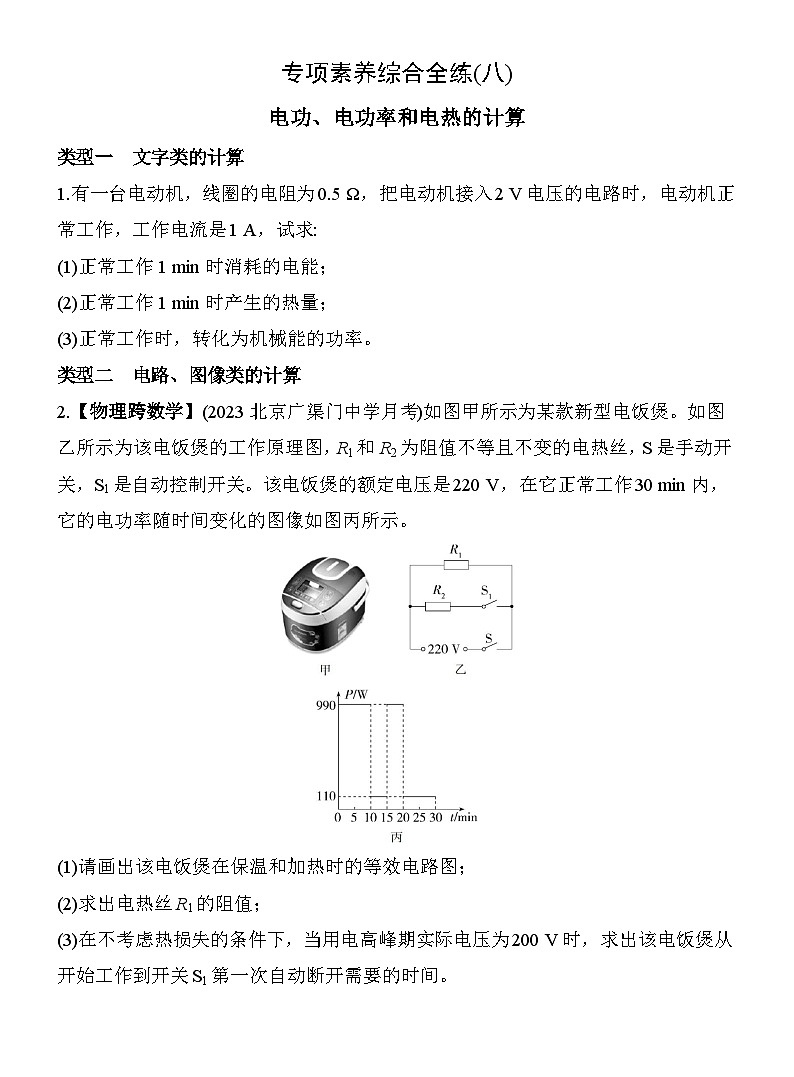 （北京课改版）九年级物理08-专项素养综合全练（八）8第1页