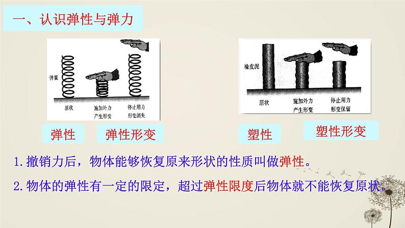 7.2弹力（课件）人教版（2024）物理八年级下册第4页