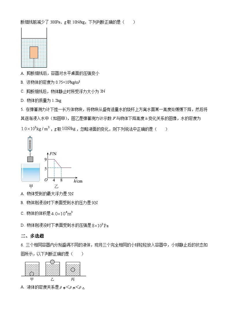 2024-2025学年八年级下册物理同步单元讲练测第十章浮力综合应用-基础练(原卷版+解析)第2页