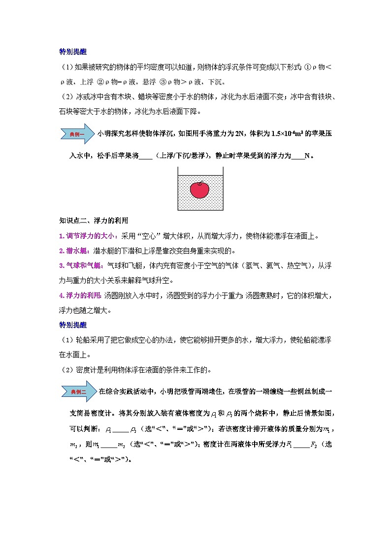 10.3 物体的浮沉条件及应用-知识点梳理+练习第2页