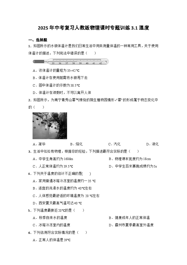 2025年中考复习人教版物理课时专题训练3.1温度第1页