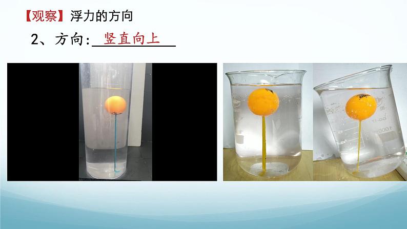 10.2认识浮力 课件-2024-2025学年教科版八年级物理下册第6页