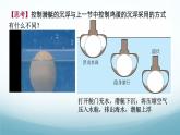 10.5跨学科实践-潜艇 课件-2024-2025学年教科版八年级物理下册