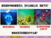 教科版（2024）物理八年级下册 10.4沉与浮（课件）