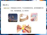 【大單元核心素養(yǎng)】人教版物理八年級下冊7.2《彈力》課件+教案+大單元教學設計