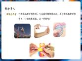 【大单元核心素养】人教版物理八年级下册7.2《弹力》课件+教案+大单元教学设计