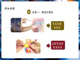 【大單元核心素養(yǎng)】人教版物理八年級下冊7.2《彈力》課件+教案+大單元教學設計