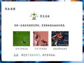 【大單元核心素養(yǎng)】人教版物理八年級下冊7.3《重力》課件+教案+大單元教學(xué)設(shè)計