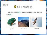 【大單元核心素養(yǎng)】人教版物理八年級下冊11.4《機械能及其轉(zhuǎn)化》課件+教案+大單元教學(xué)設(shè)計