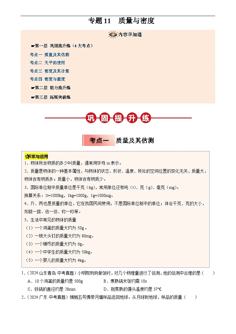 专题11 质量与密度(原卷版)第1页