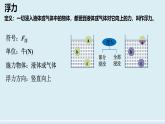 9.2 探究：浮力大小與哪些因素有關(guān)（課件）-2024-2025學(xué)年八年級(jí)物理下學(xué)期（滬科版2024）